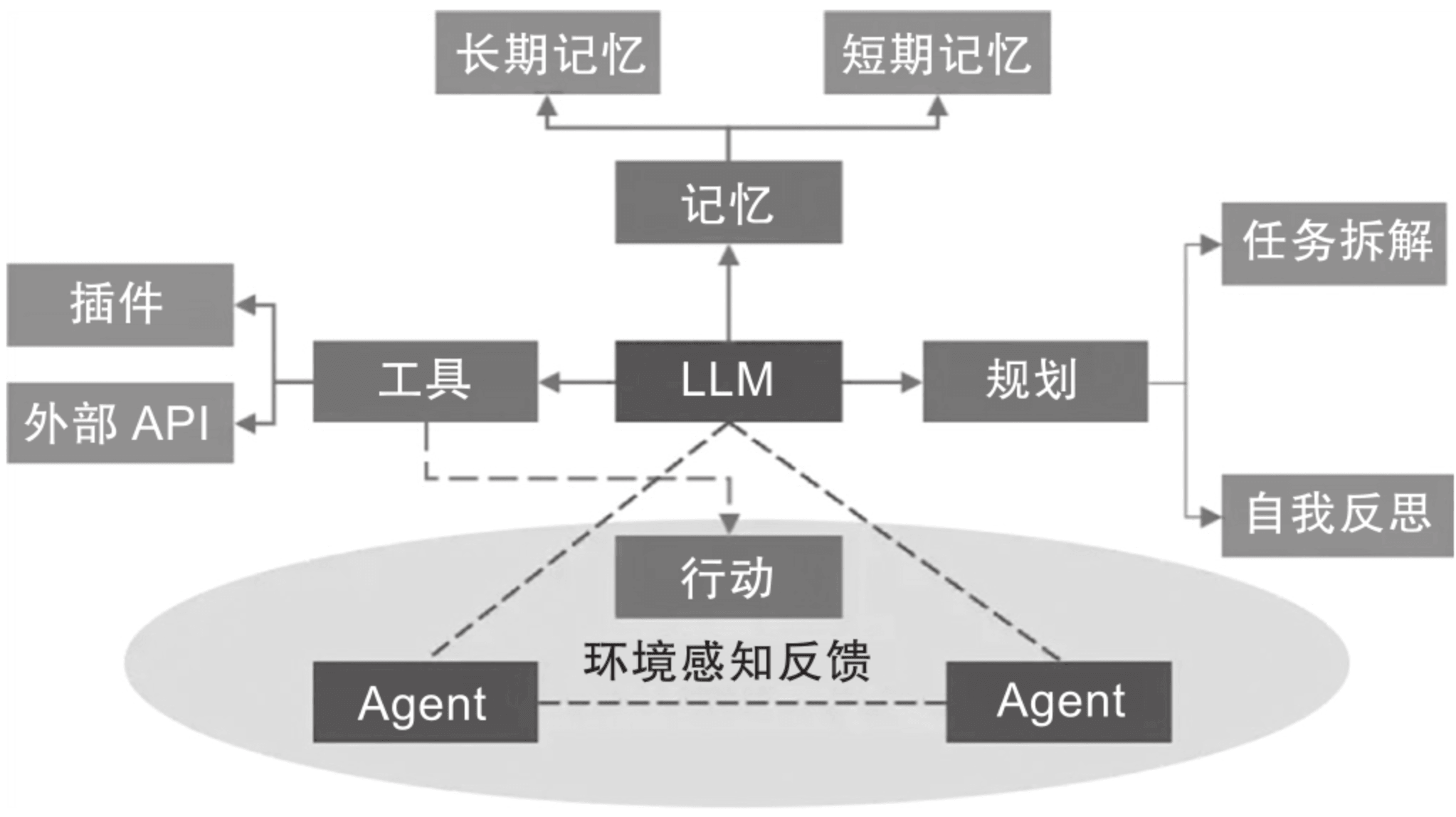 about site background