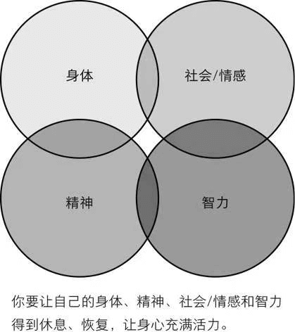四个维度圈示意图